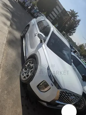 Hyundai Palisade 2021 White