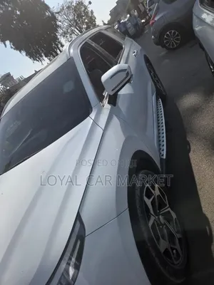 Hyundai Palisade 2021 White