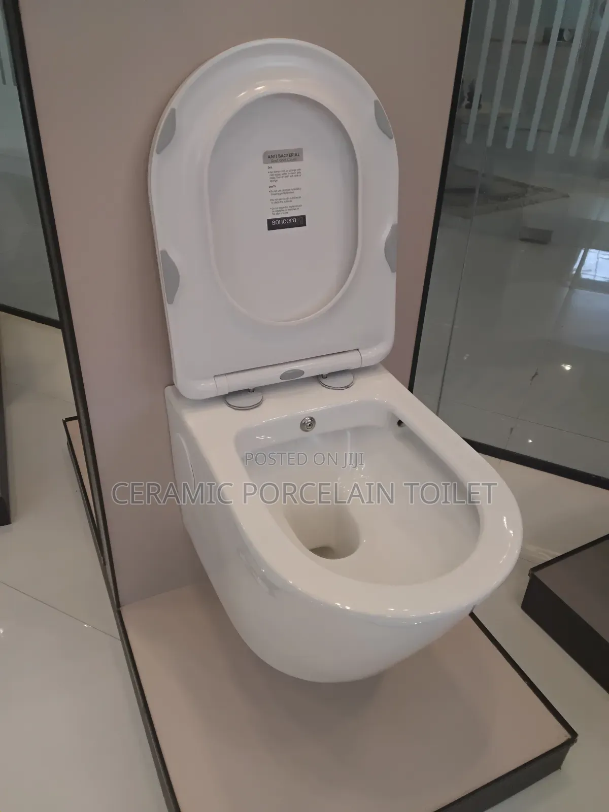 Wall-Hung Toilet Seat