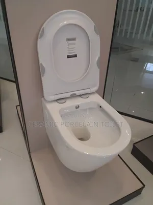 Wall-Hung Toilet Seat