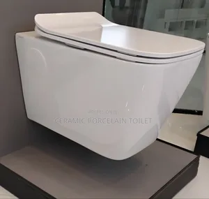 Wall-Hung Toilet Seat