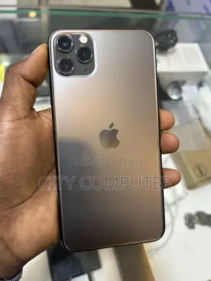 Apple iPhone 11 Pro Max 64 GB Gray