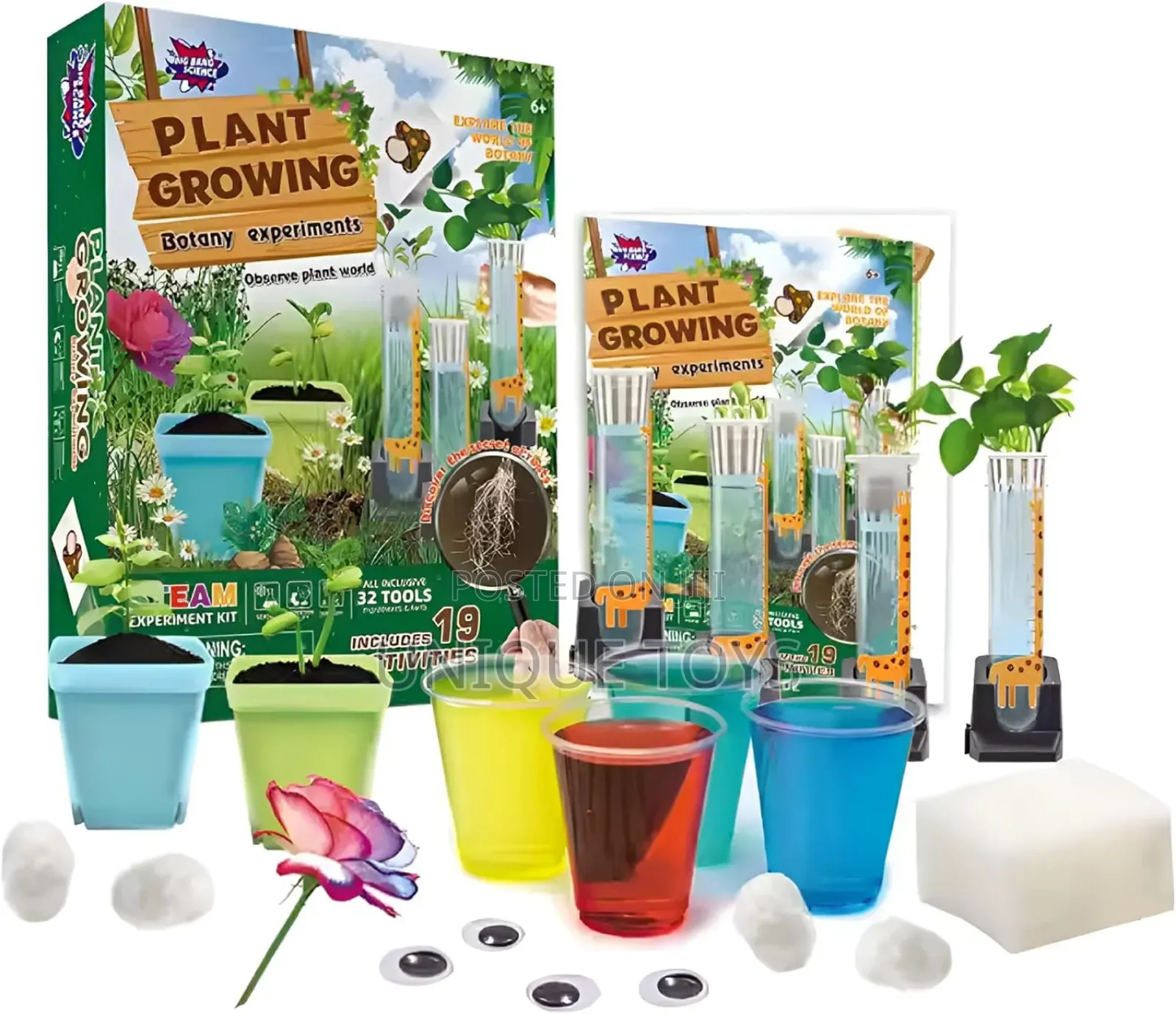 Big Bang Science – Plant Growing Botany Experiment Kit