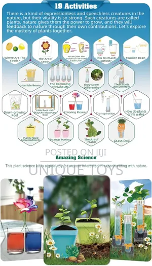 Big Bang Science – Plant Growing Botany Experiment Kit