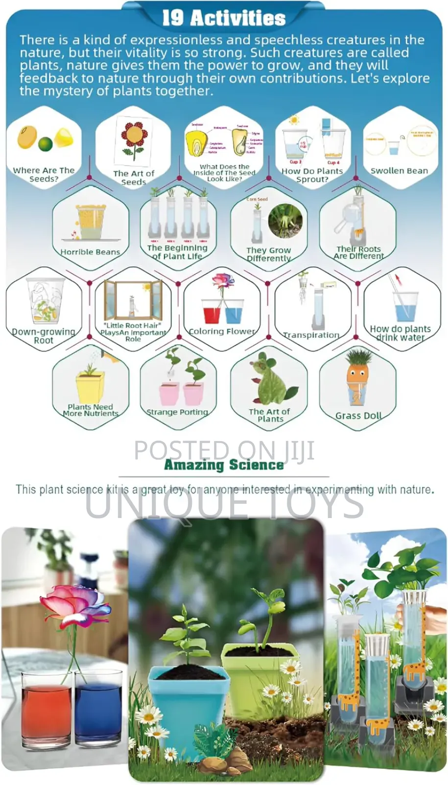 Big Bang Science – Plant Growing Botany Experiment Kit