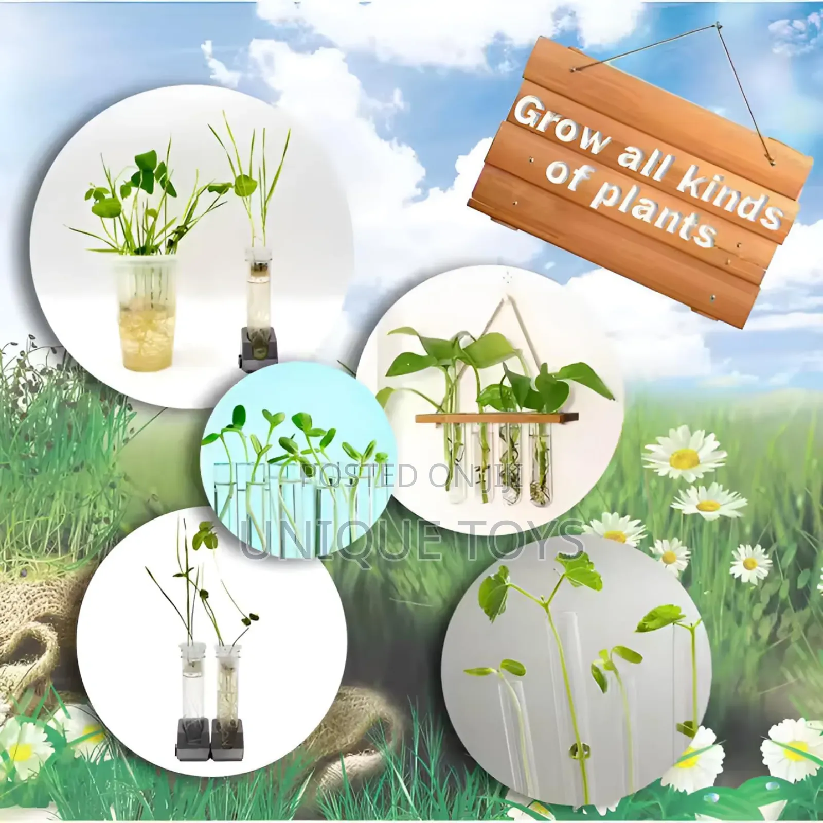 Big Bang Science – Plant Growing Botany Experiment Kit