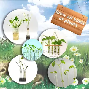 Big Bang Science – Plant Growing Botany Experiment Kit