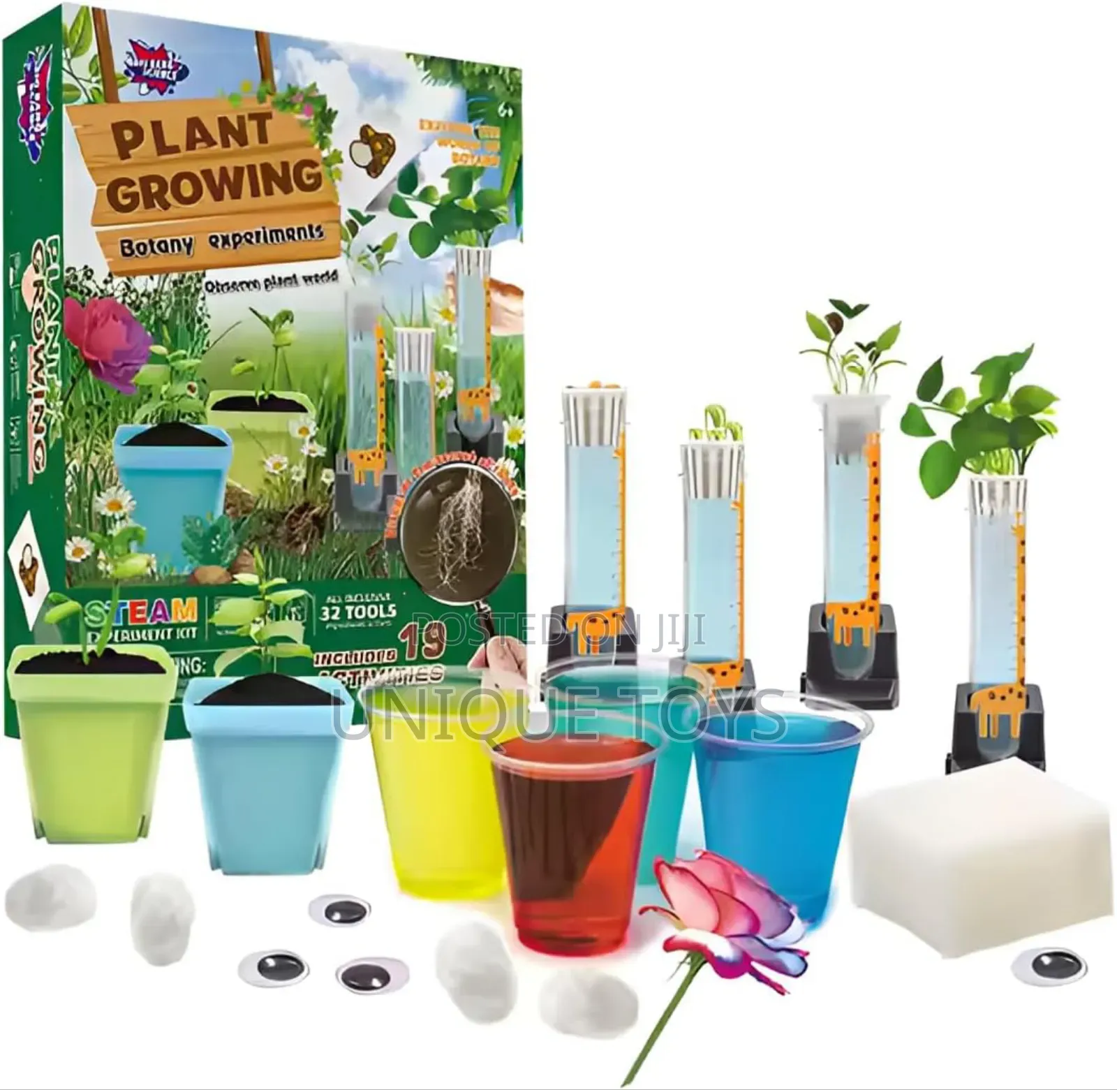 Big Bang Science – Plant Growing Botany Experiment Kit
