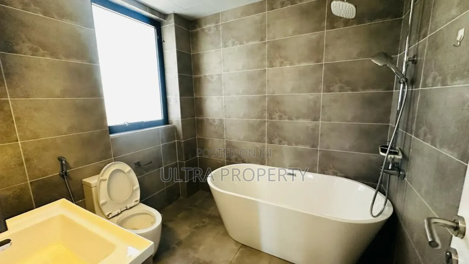 Furnished 3bdrm Apartment in Bole for rent