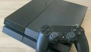 Jealbeark Palystation 4 Fat for You