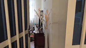 Furnished 2bdrm Condo in Condominium, Oromia-Finfinne for rent