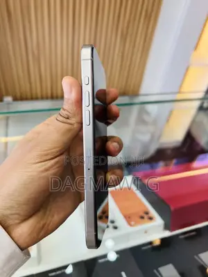 Apple iPhone 15 Pro Max 256 GB Gray