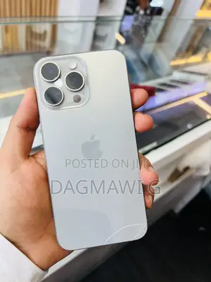 Apple iPhone 15 Pro Max 256 GB Gray