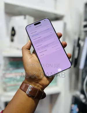 Apple iPhone 15 Pro Max 256 GB Silver