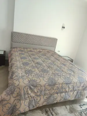 Furnished 2bdrm Apartment in Luxury Fernished, Bole for rent