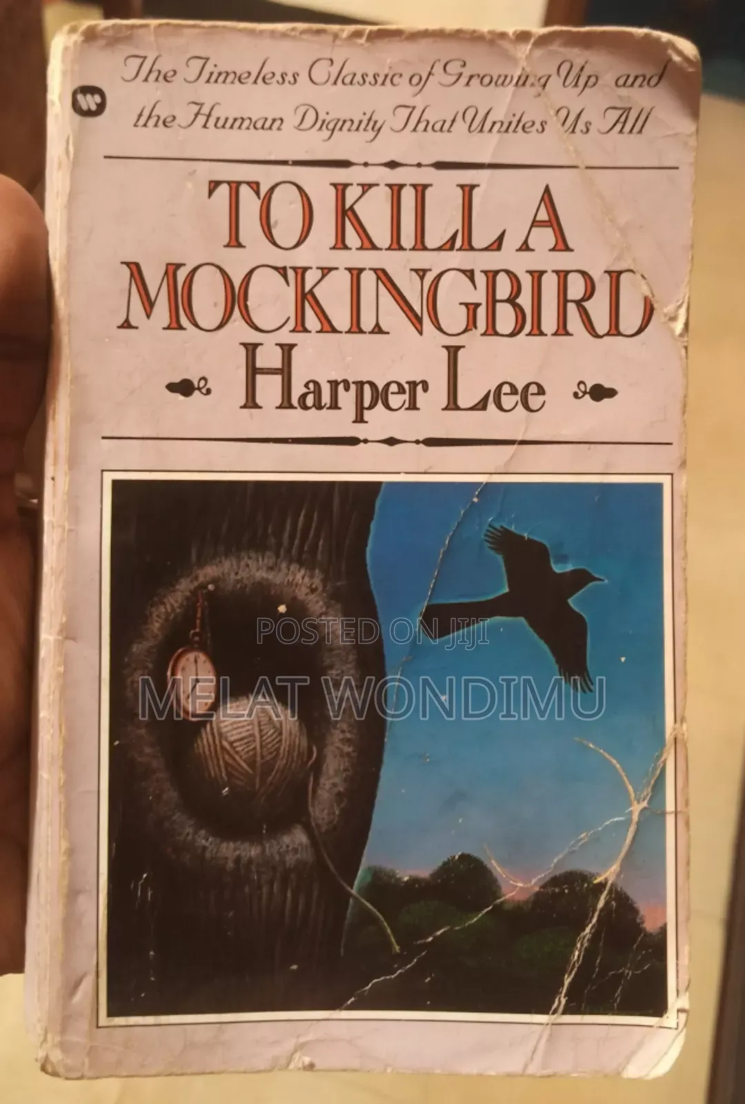To Kill a Mocking Bird