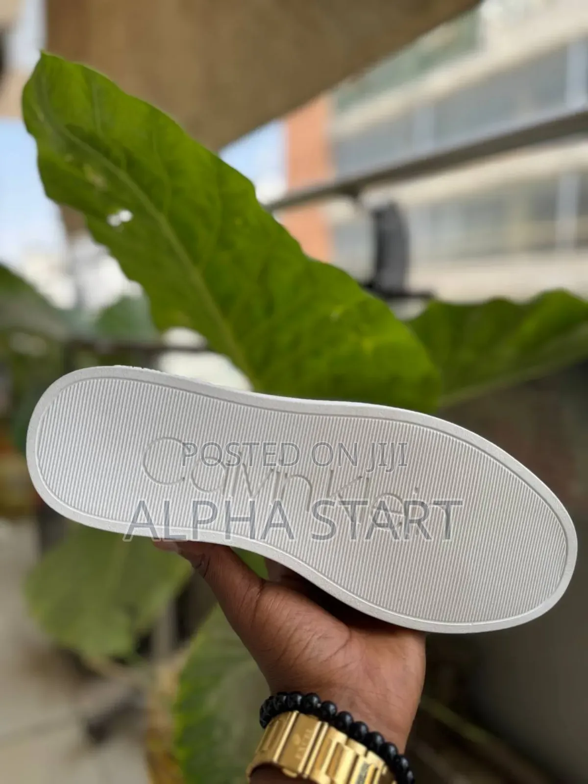 New Arrival Calvin Klein Gol Flat Sneakers Made in Vietnam