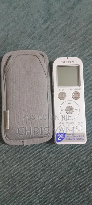 Sony Icdux523/G Digital Flash Voice Recorder