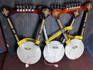 Electrical Kirar Mesenko and Begena