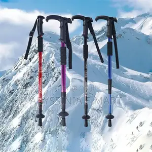 Adjustable Hiking Or Walking Stick
