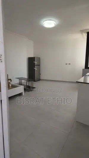 Furnished 1bdrm Apartment in Bole Dembel Studio for sale