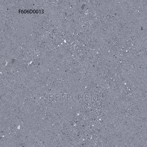 60*60 Floors Ceramic