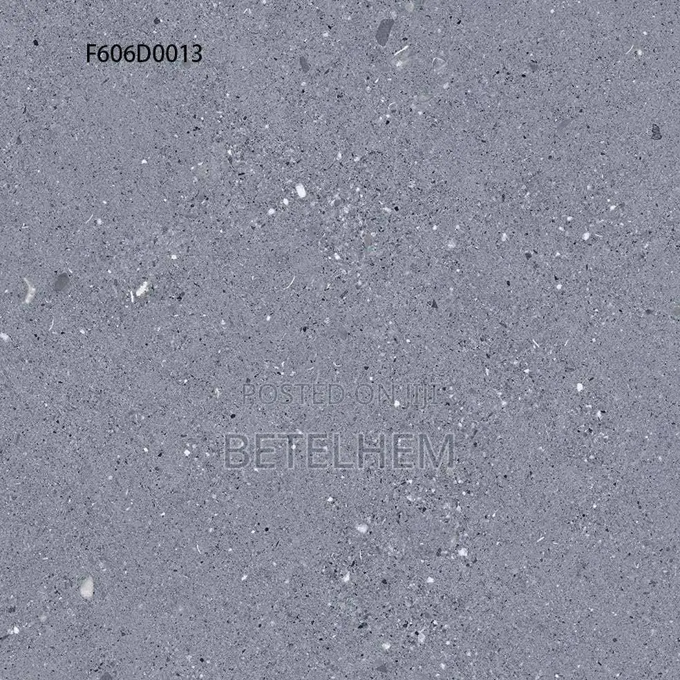 60*60 Floors Ceramic