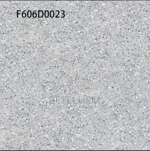 60*60 Floors Ceramic