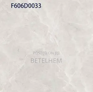 60*60 Floors Ceramic