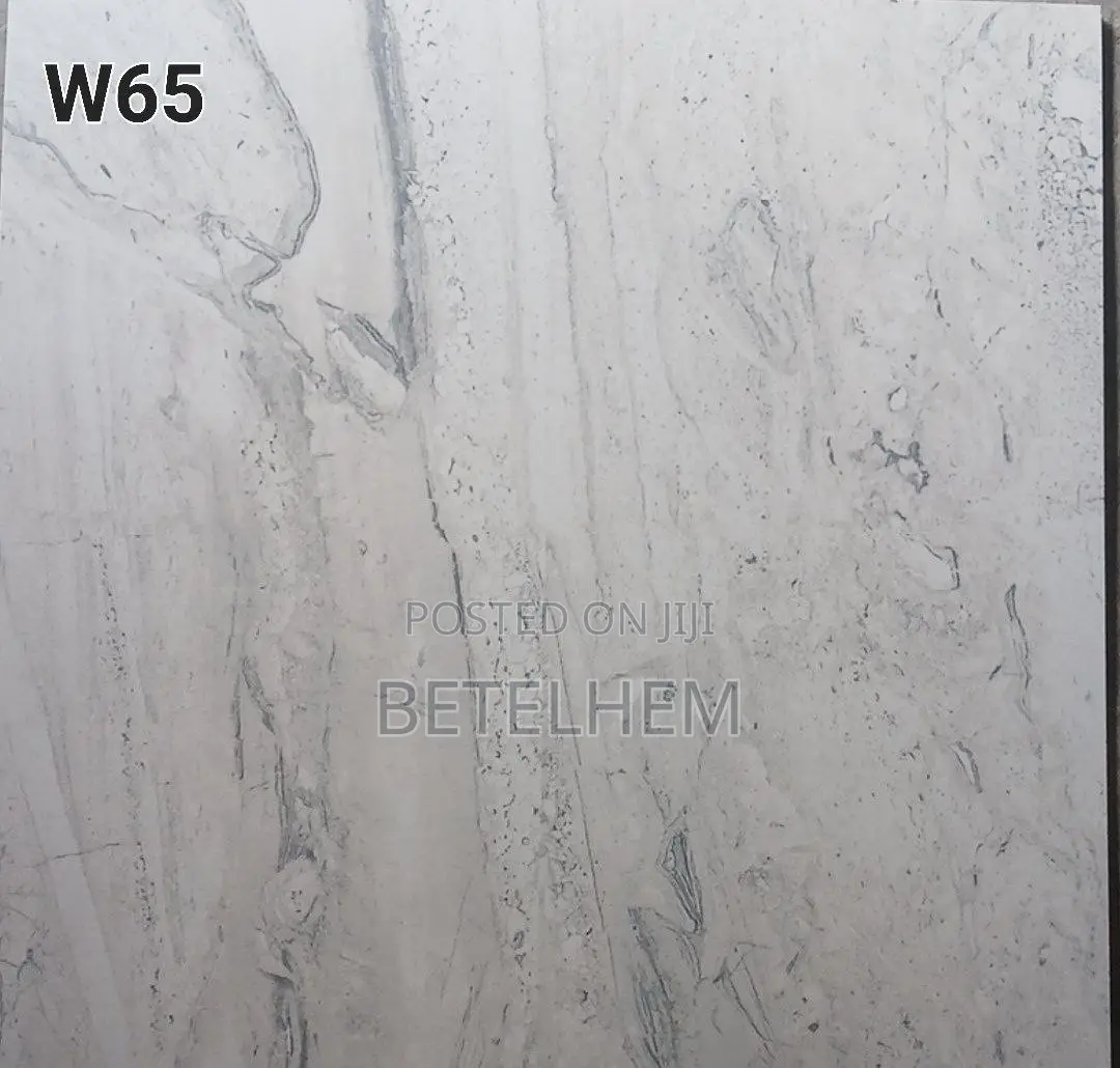 60*60 Floors Ceramic