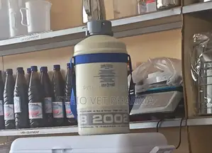 Nitrogen Container