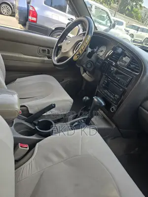 Nissan Pathfinder 1991 Gold