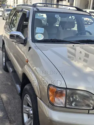 Nissan Pathfinder 1991 Gold