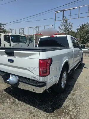 Ford F-150 2019 White