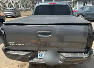 Toyota Tacoma 2008 Gray