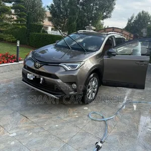Toyota RAV4 2017 Brown