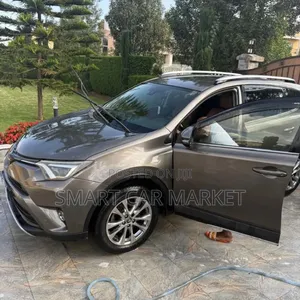 Toyota RAV4 2017 Brown
