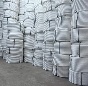 ነጭ ጉሮሮ ኮንዲት