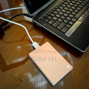 Orginal Hard Disk
