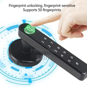 Is a Biometric Smart Fingerprint Door Lock