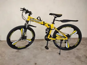 Begasso Bike