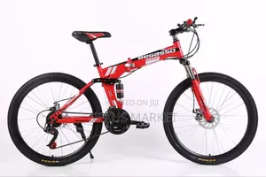 Begasso Bike