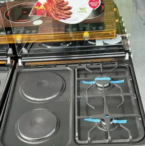 2electric 2gas Delta Standing Oven