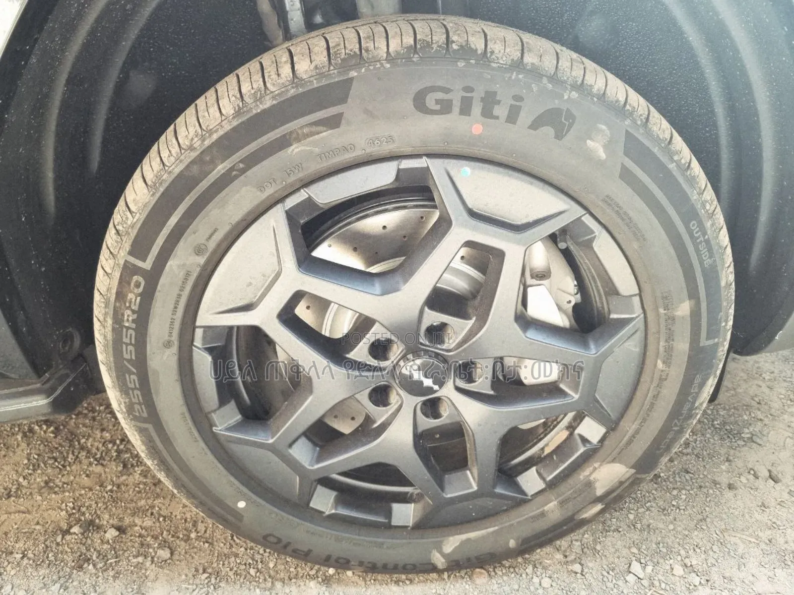 New BYD Leopard 7 2025 Green