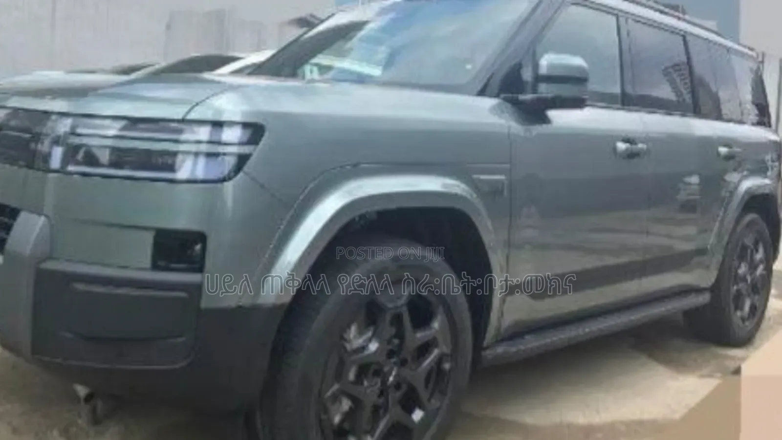 New BYD Leopard 7 2025 Green