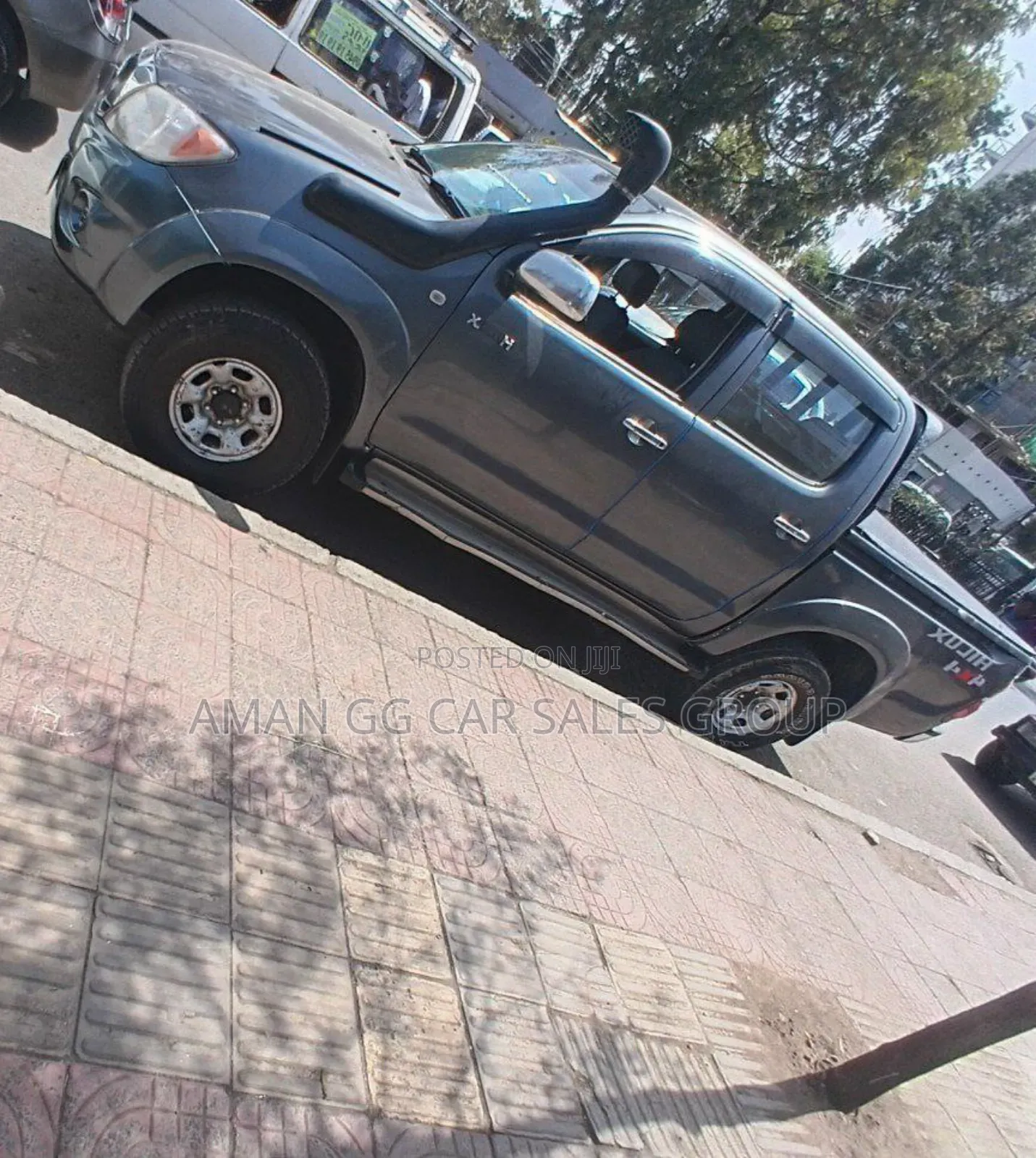 Toyota Hilux 2010 Gray