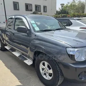 Toyota Tacoma 2008 Gray