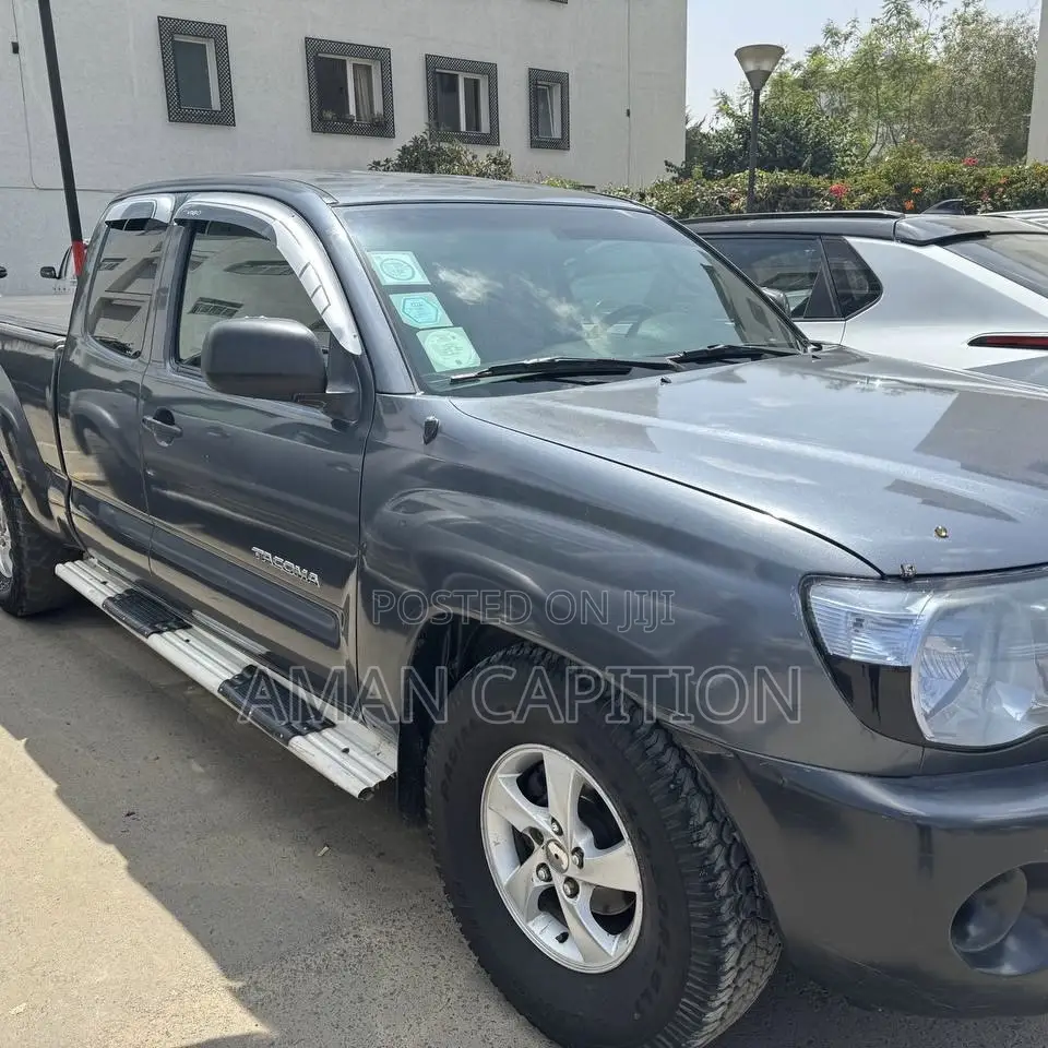 Toyota Tacoma 2008 Gray