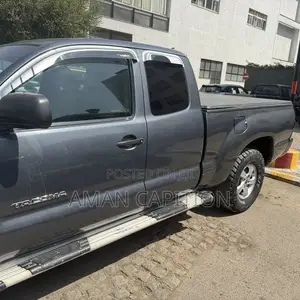 Toyota Tacoma 2008 Gray