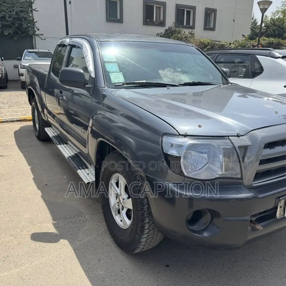 Toyota Tacoma 2008 Gray
